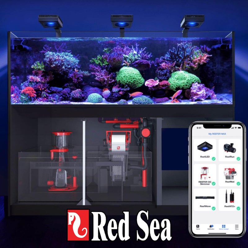 Red Sea Reef Foundation A (Ca/Sr) Supplement, 1kg Powder - Calcium & Strontium Additive for Healthy Coral Growth in Marine & Reef Aquariums - Image 4
